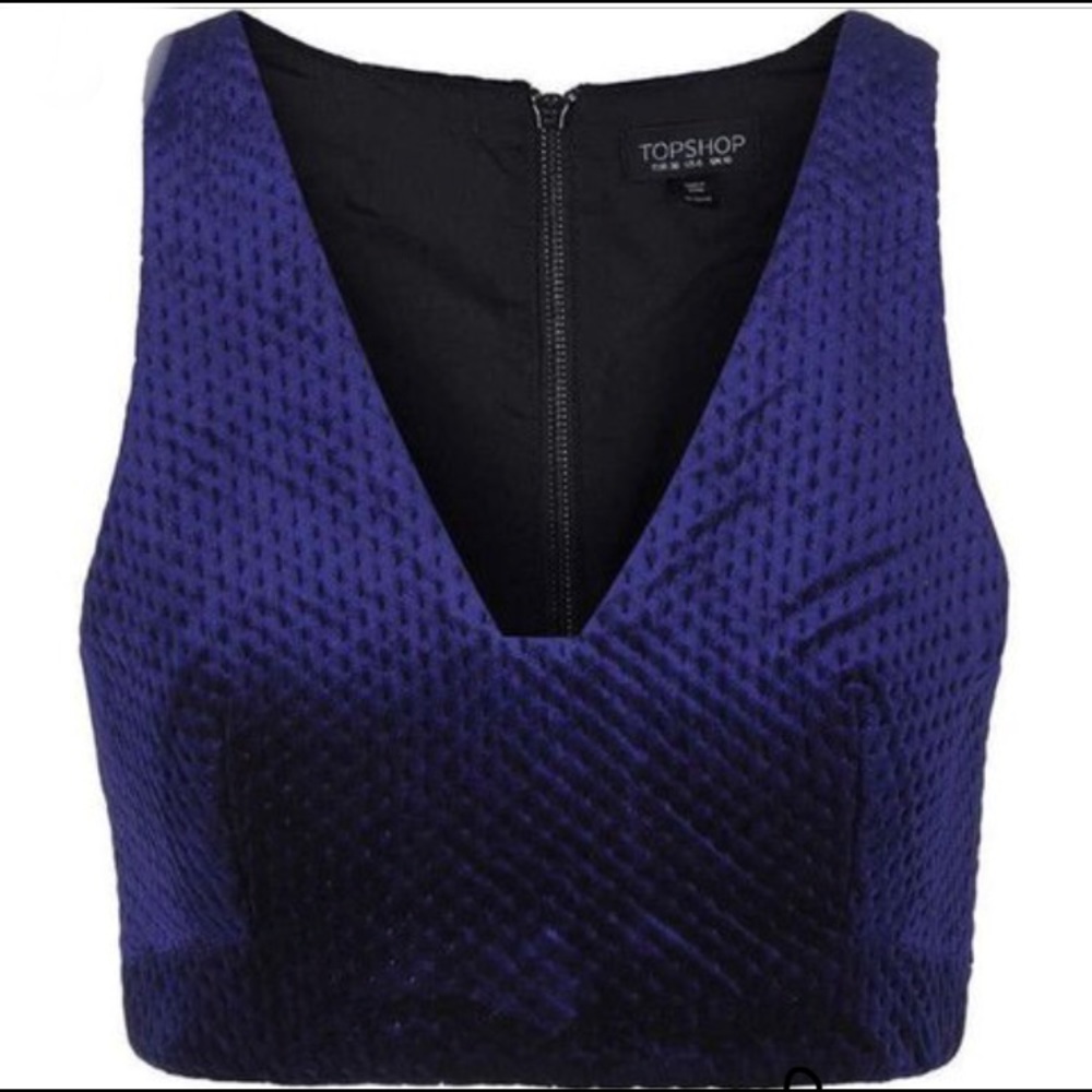 TOPSHOP Velvet Crop Top